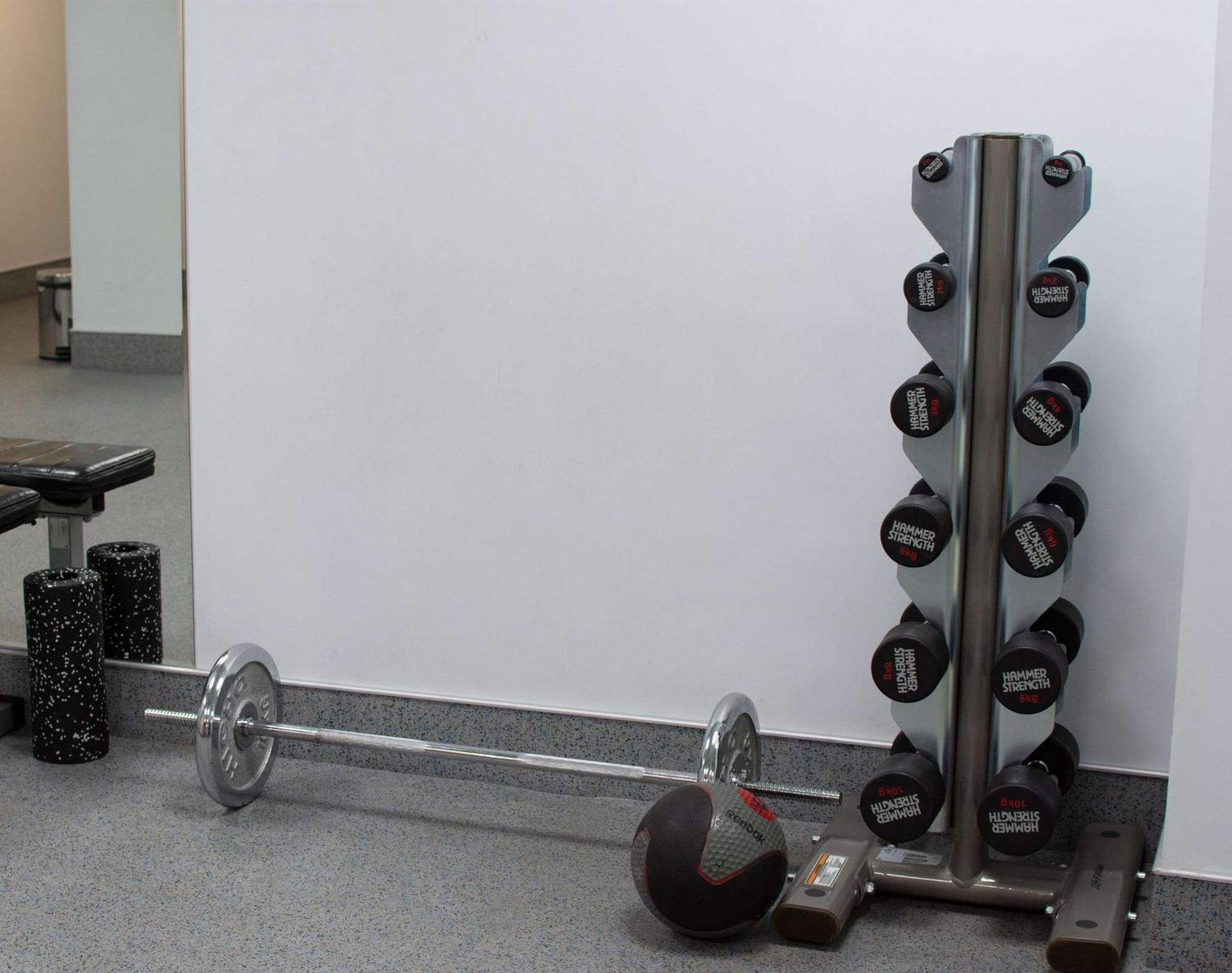 Radisson Blu Hotel Γιερεβάν Εξωτερικό φωτογραφία Dumbbell rack